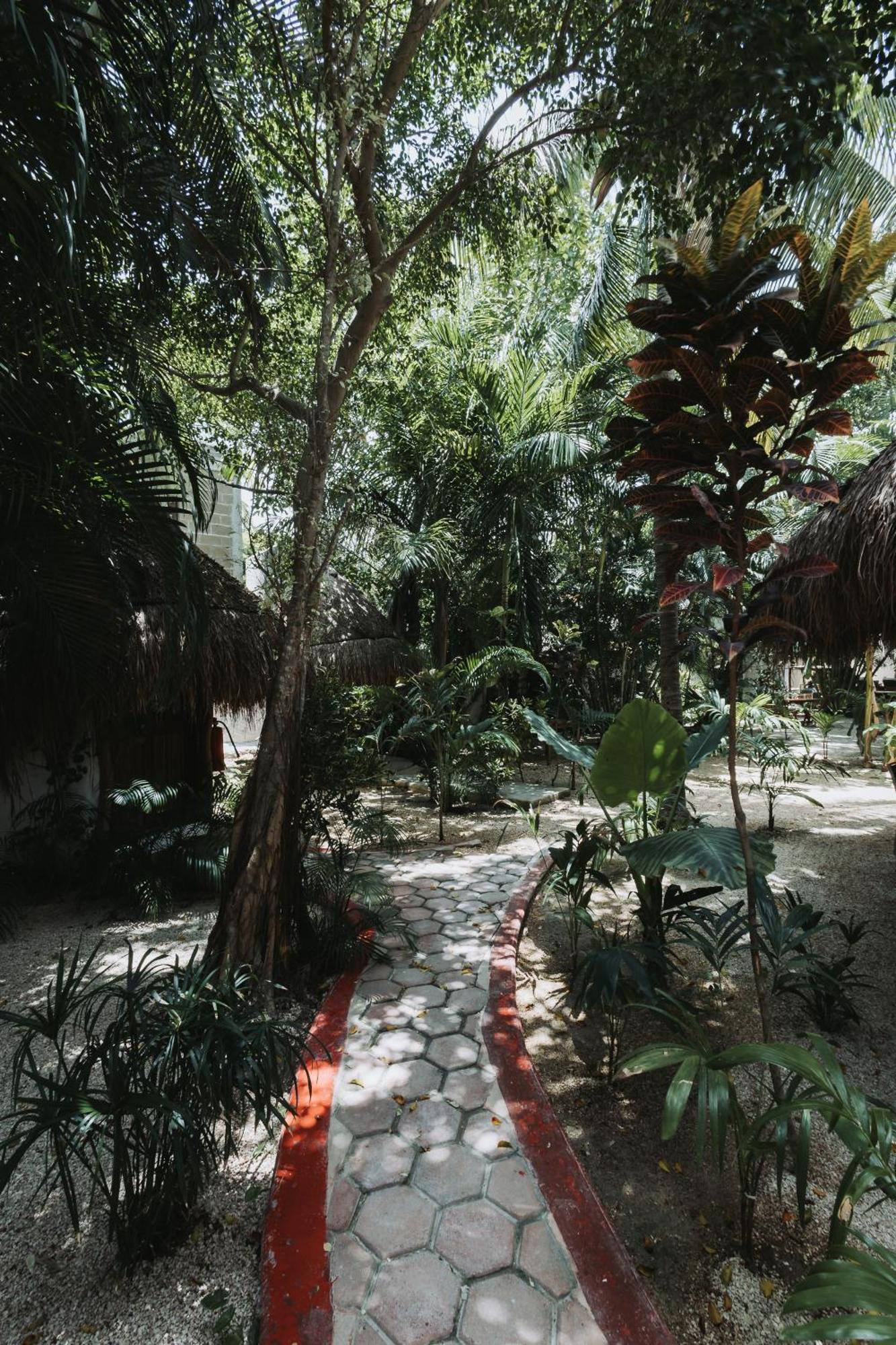 โรงแรมคาซาบาร์บารา Isla Holbox ภายนอก รูปภาพ