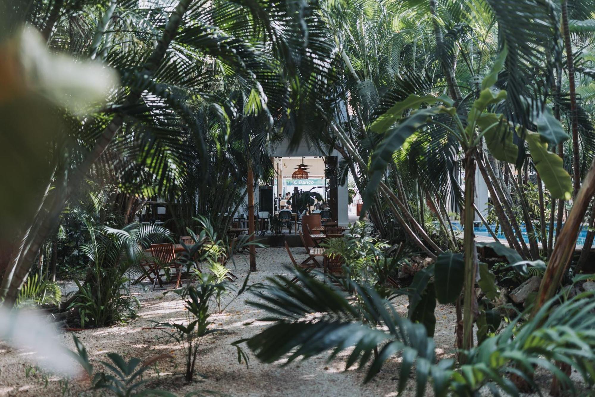โรงแรมคาซาบาร์บารา Isla Holbox ภายนอก รูปภาพ